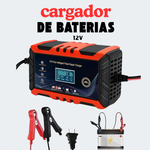 🔋 Cargador de Baterías 12V 🔋